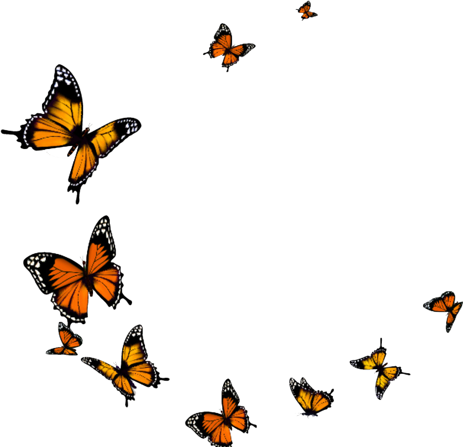 Butterfly - Butterfly Fly - Monarch Butterfly Flying Png (994x954)