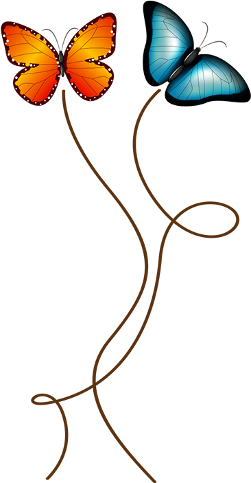 Wall Colour - Wall Colour (374x702)