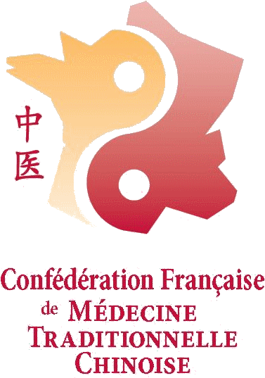 Avatar The Last Airbender Avatar State Korra - Logo (388x541)