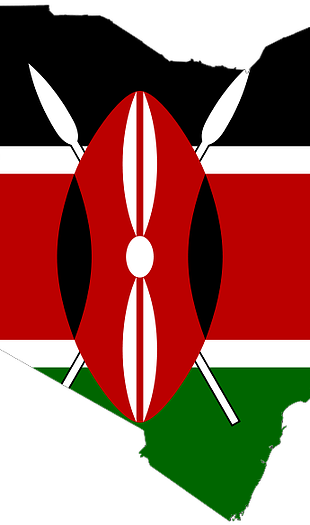 Send - Vote For Peace Kenya (310x525)