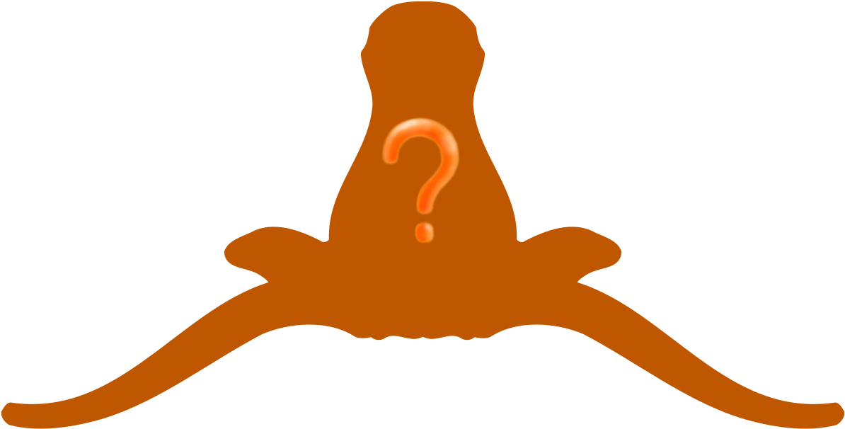 0 Balasan 0 Retweet 0 Suka - Texas Longhorns (1200x610)