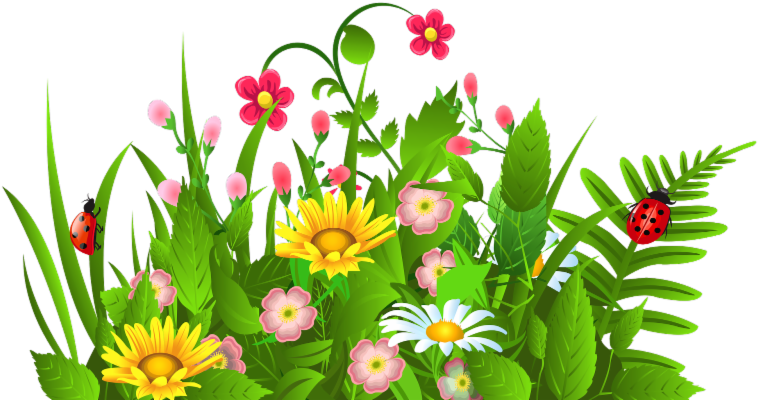 Annual Plant And Garden Sale - Flower Garden Clipart (800x424)