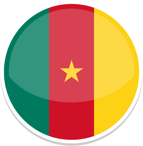 Pages 2014 World Cup Circle Flags Icons - Cameroon Flag Circle (512x512)