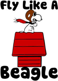 A Few Peanuts / Snoopy / Charlie Brown Preservation - Airplane (644x376)