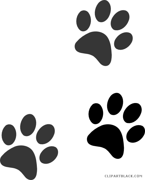 Grayscale Paw Print Animal Free Black White Clipart - Cat Paw Print Vector (480x594)