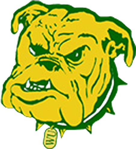 Big Rapids Cougar Women - Big Rapids Cougar Women (500x500)