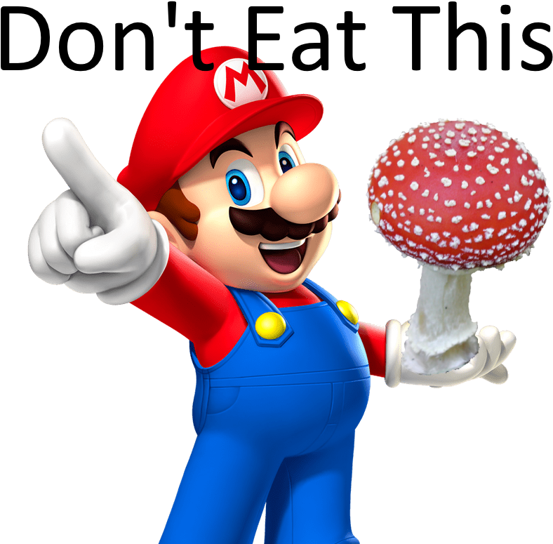 Can Eat A Amanita Muscaria / Super Mushroom Raw - Mario Mario Party 9 (800x779)