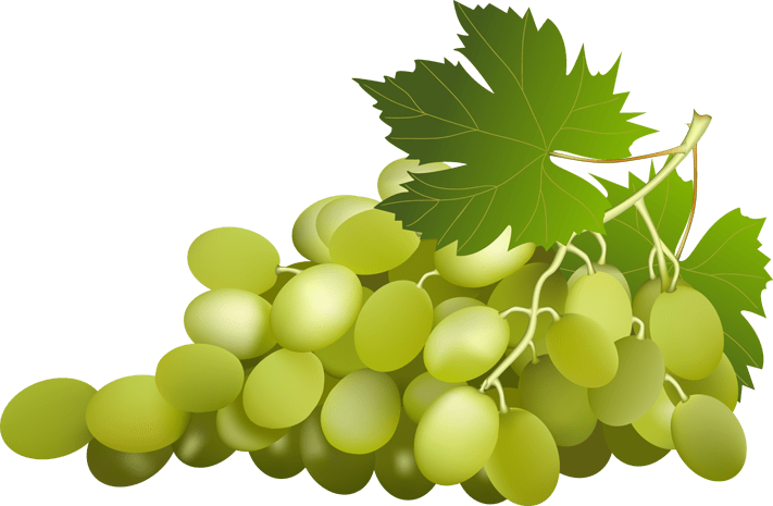 Grapes Clipart Png (711x465)