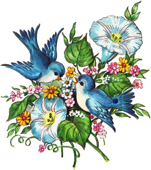 Hi Ya'll, Here's An Explosion Of Graphics For You, - Vintage Birthday Card With Birds (526x640)