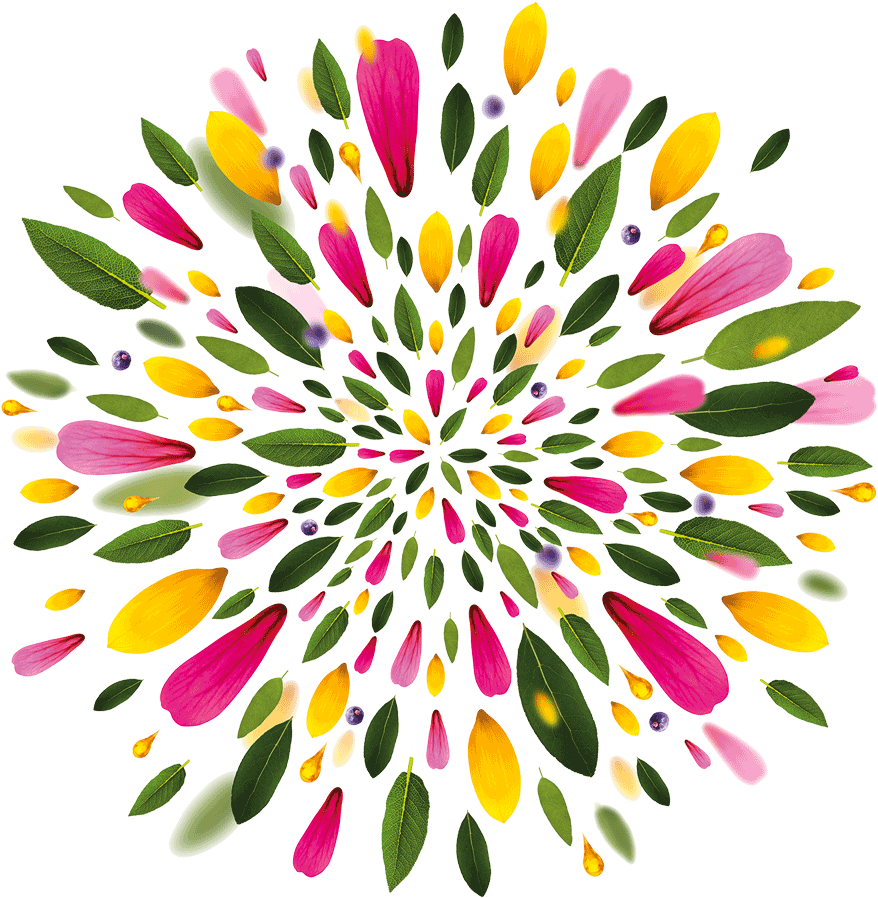 En Savoir Plus - Flower Petal Graphic (1000x1000)