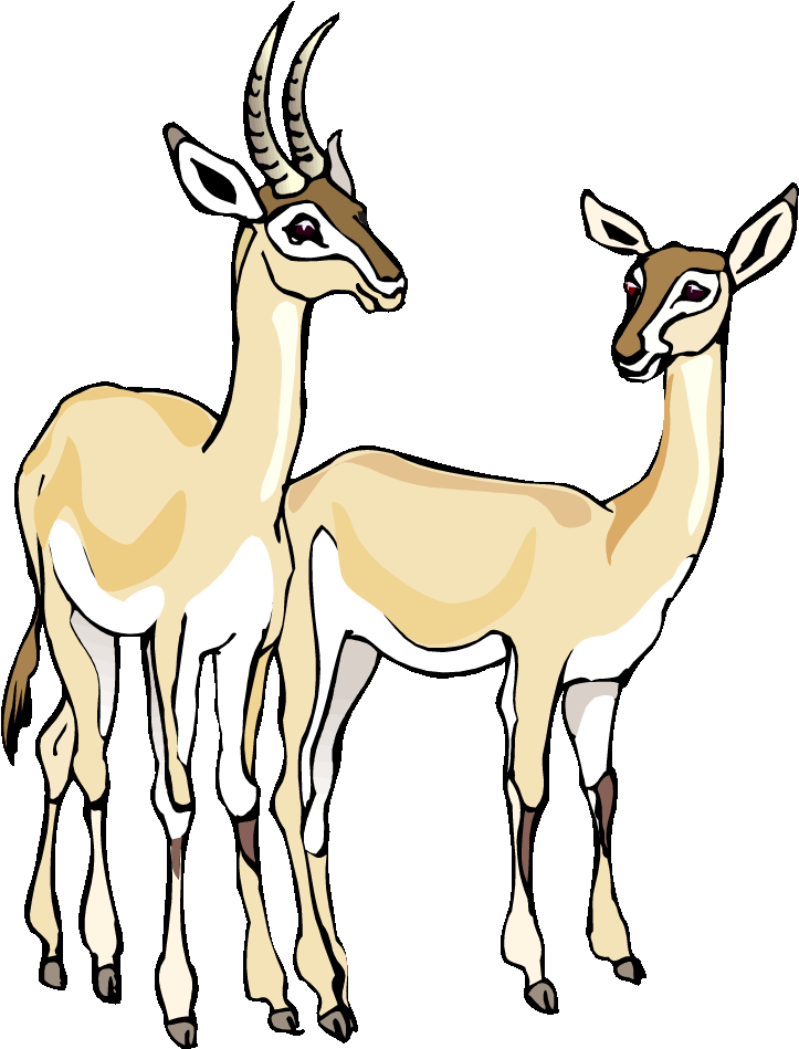 Top 87 Gazelle Clipart - Clip Art (750x967)