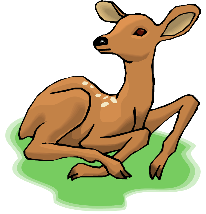 Baby Deer Clipart Free Clip Art Images - Free Clip Art Deer (750x744)