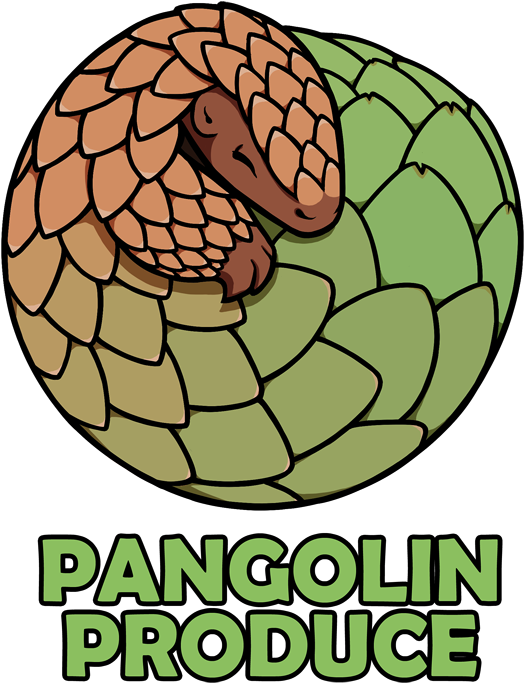 Pangolin Clipart Transparent - Clip Art (569x712)