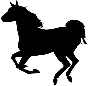 Wall Color - Horse (374x365)