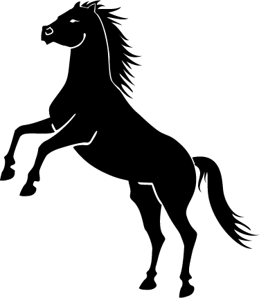 Note Cards (pk Of 10) (374x431)