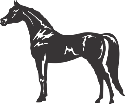 Horse Decal Horse Wall Sticker Arabian Horse Horse - Horse Side View Clipart (405x336)
