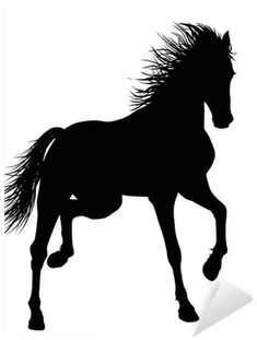 Vector Graphics (400x400)