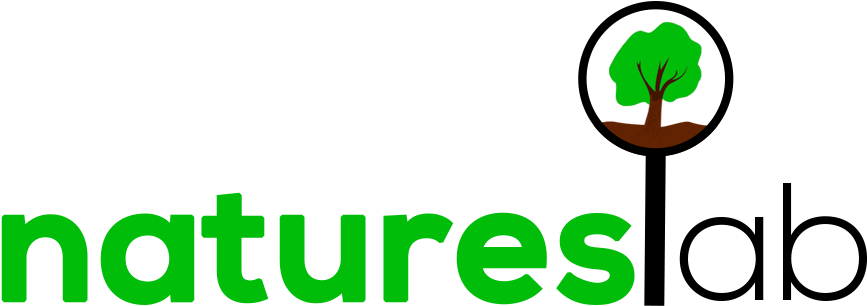 World Ventures Logo (876x318)