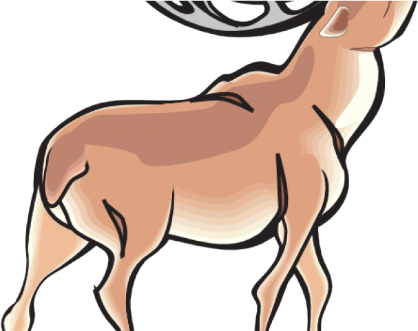 Deer Clipart Angry - Antler (640x480)