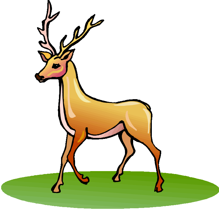 Deer - Clipart Image Of Deer (750x718)
