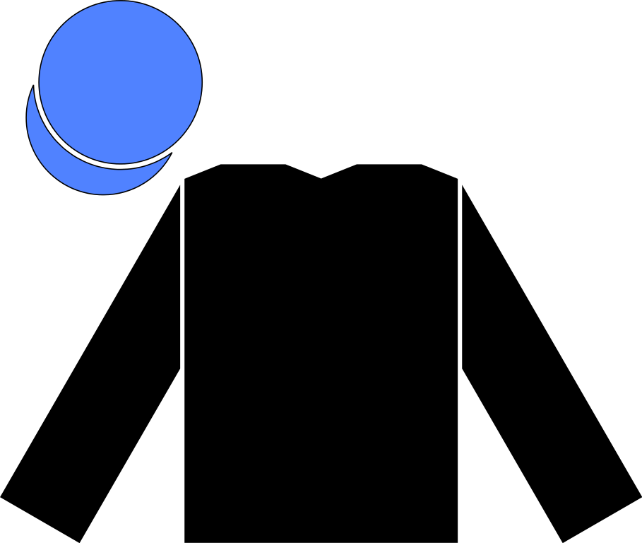 Racing Silks Of Olivier Lecerf - Olivier Lecerf (909x768)