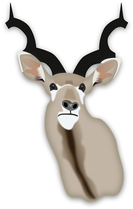 Deer Clipart - Custom Antelope Head Shower Curtain (459x720)