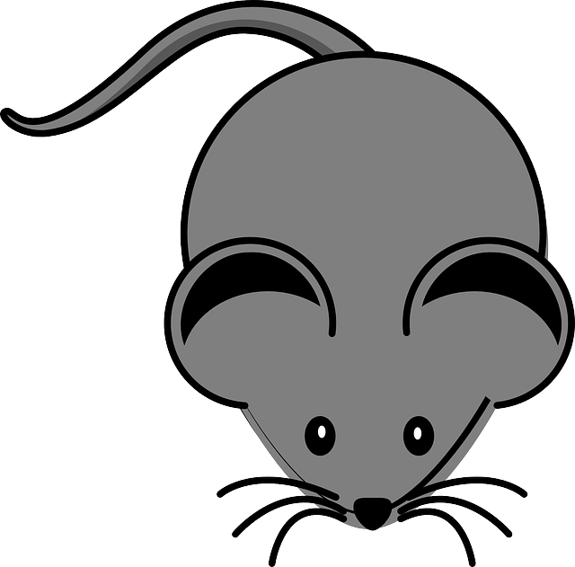 Mouse Clip Art Png (640x631)