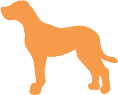 Top Dog Walk - Hunting Dog (400x400)