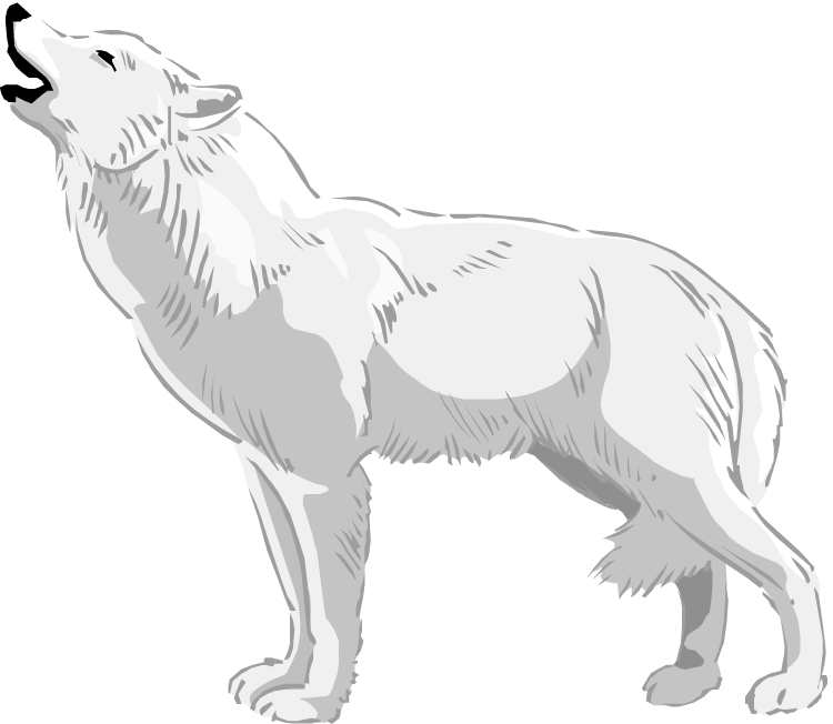 White Wolf Clipart - Arctic Wolf Clipart (750x652)