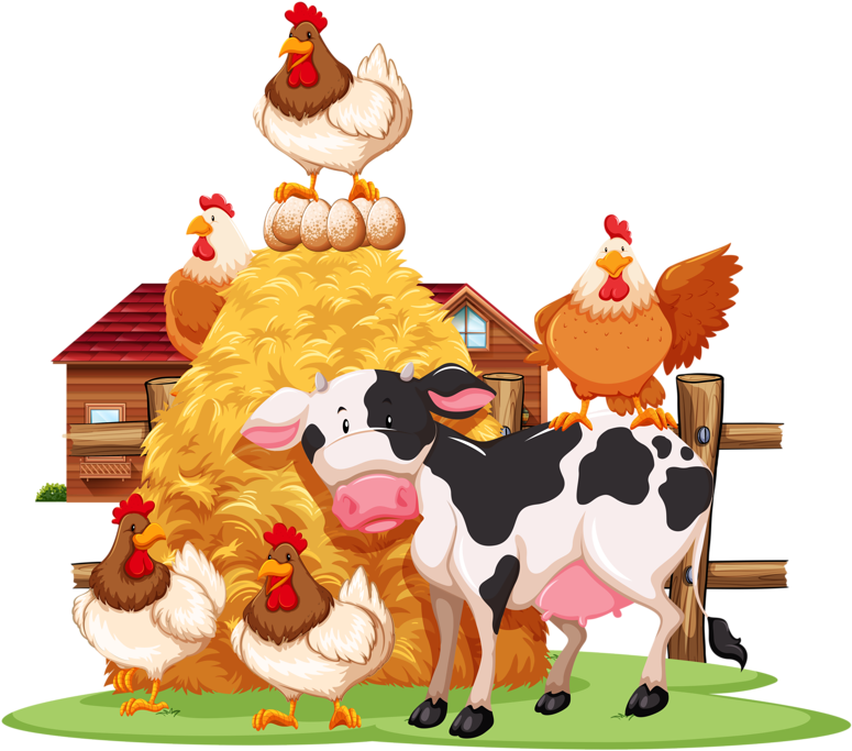 Buy Animals By Blueringmedia On Graphicriver - Vaca E Galinha (800x683)
