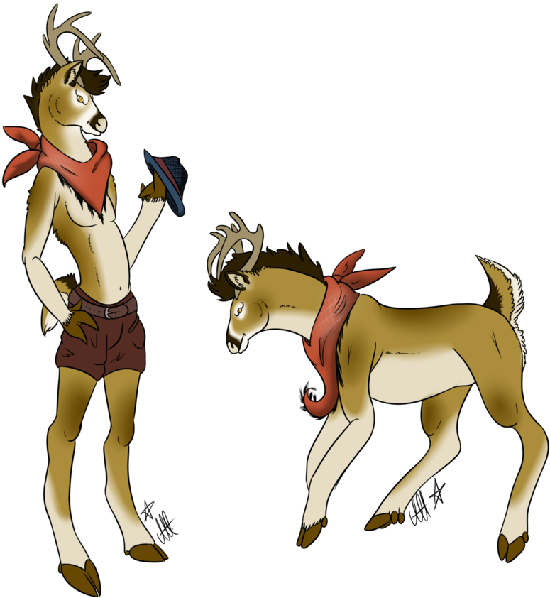Deer Anthro With Feral Form - Anthro And Feral Form (851x939)