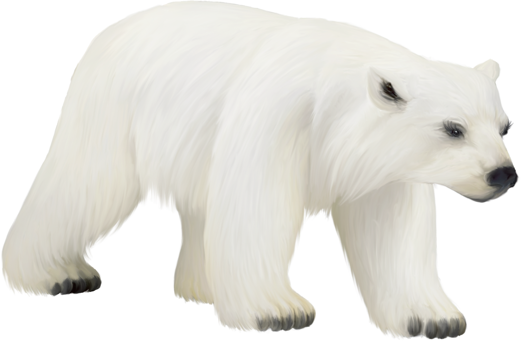 Polar Bear Bear Clip Art Vector Bear Graphics Image - Polar Bear (2000x1324)