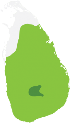 Map - Map Of Sri Lanka (330x500)
