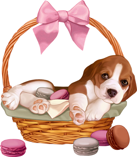 18best Of Clipart Dog More Image Ideas - Dog In A Basket Clipart (440x504)