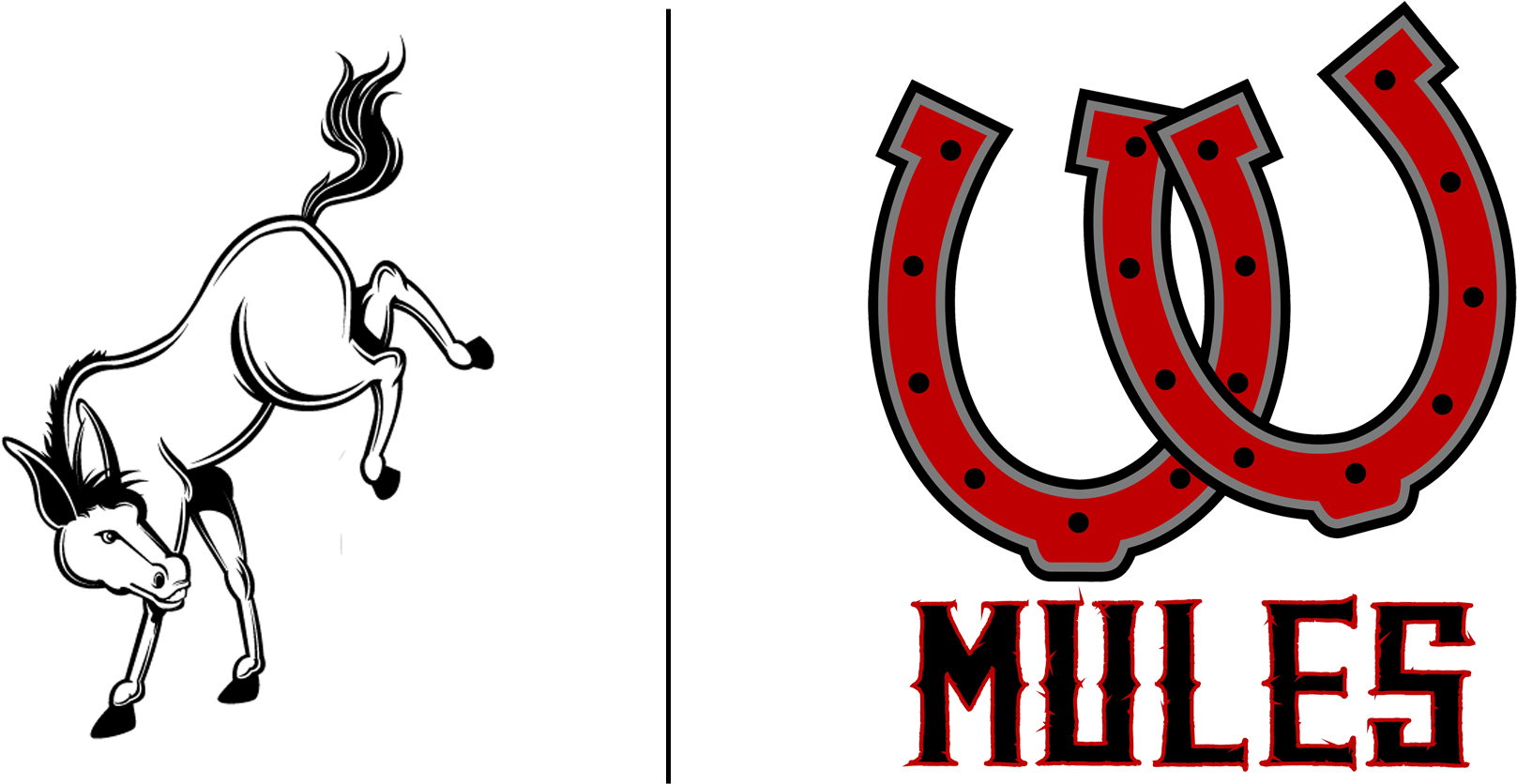 Mules Logos - Wahkiakum Mules Png (1800x1000)