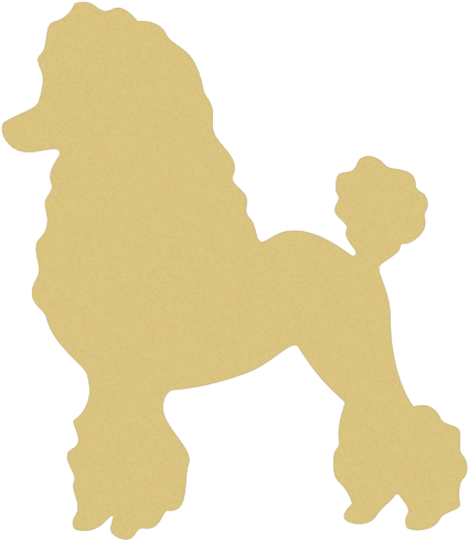 Gold Poodle - Poodle Skirt Poodle (431x500)