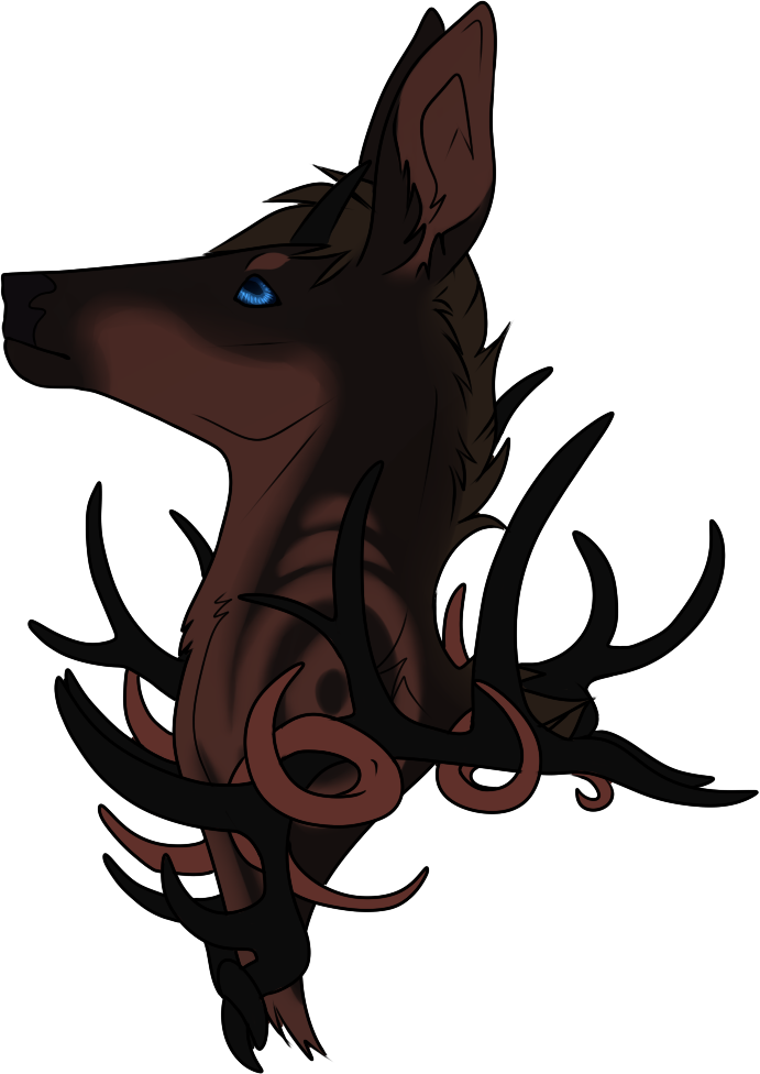 Antler Wreath, Made Of One Of Naoki's Fallen Antlers - Illustration (691x976)