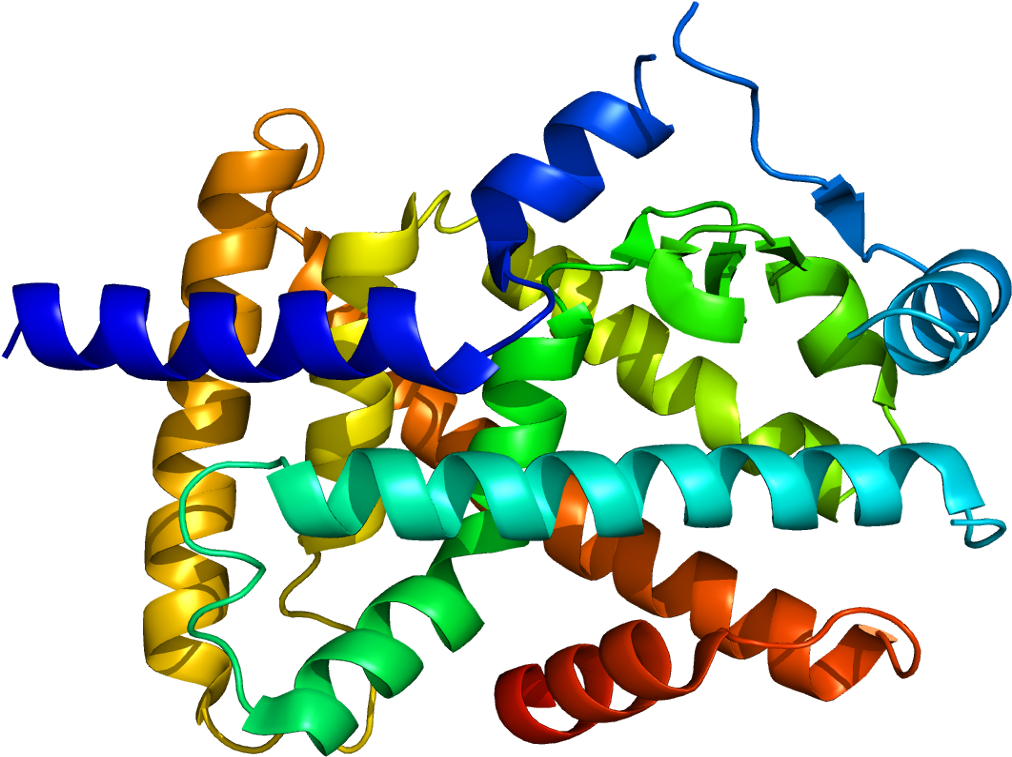 Peroxisome Proliferator Activated Receptor Structure (1061x806)
