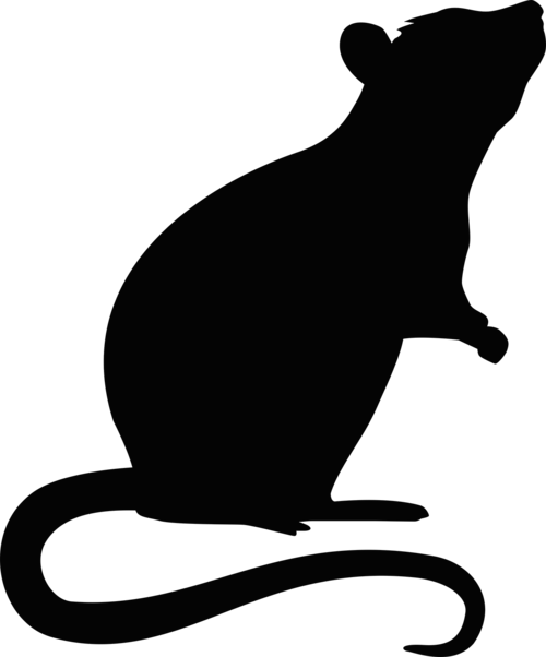 Athelstan Of Cottonmouth - Rat Silhouette Transparent (500x602)