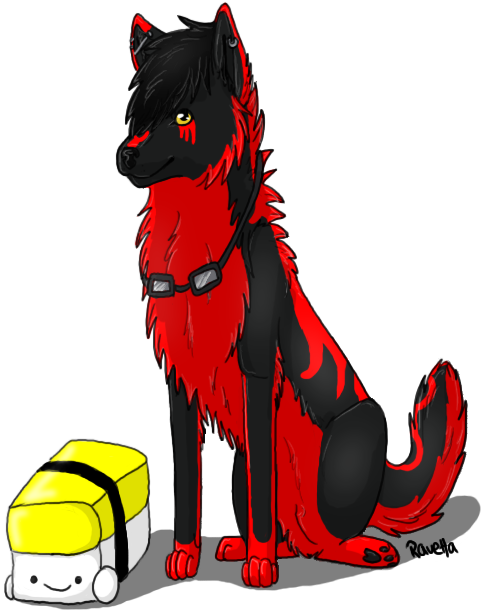 Someone - Schipperke (506x647)