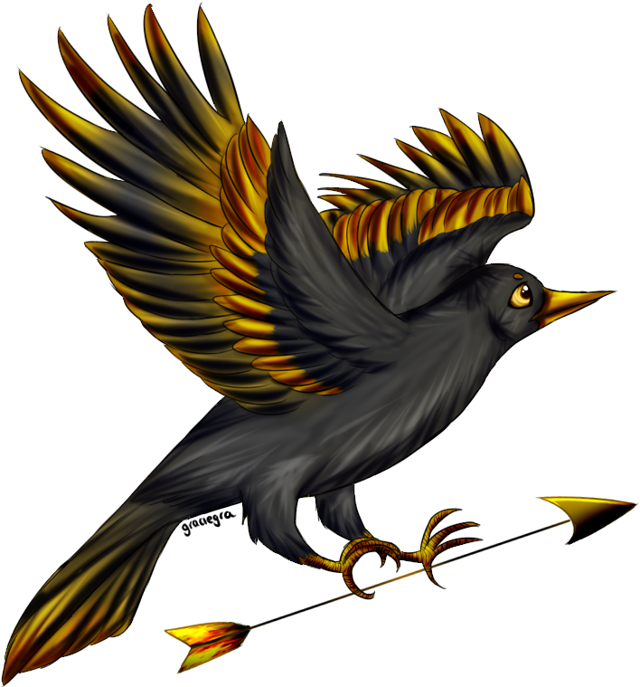 By Graciegra - Blackbird (900x800)