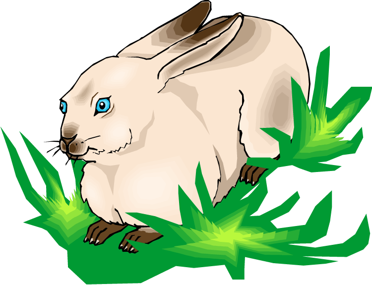 Free Rabbit Clipart - Cafepress The Rabbit Whisperer Rectangle Sticker Bumper (750x575)