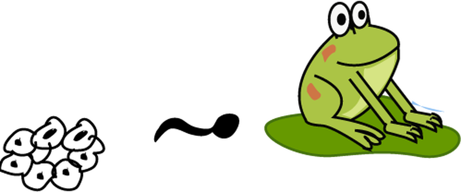 Den Building At Tibshelf Ponds - Den Building At Tibshelf Ponds (900x375)