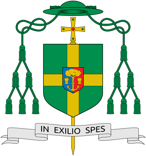 This Image Rendered As Png In Other Widths - Bishop Michael Dooley Dunedin Coat Of Arms (500x533)