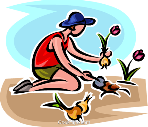 Gardener Planting Flowers Royalty Free Vector Clip - Planting Bulbs Clipart (480x411)