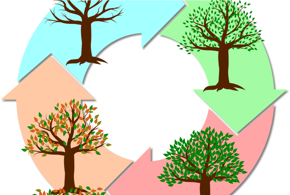 Cycles Of Life - Season (1080x675)