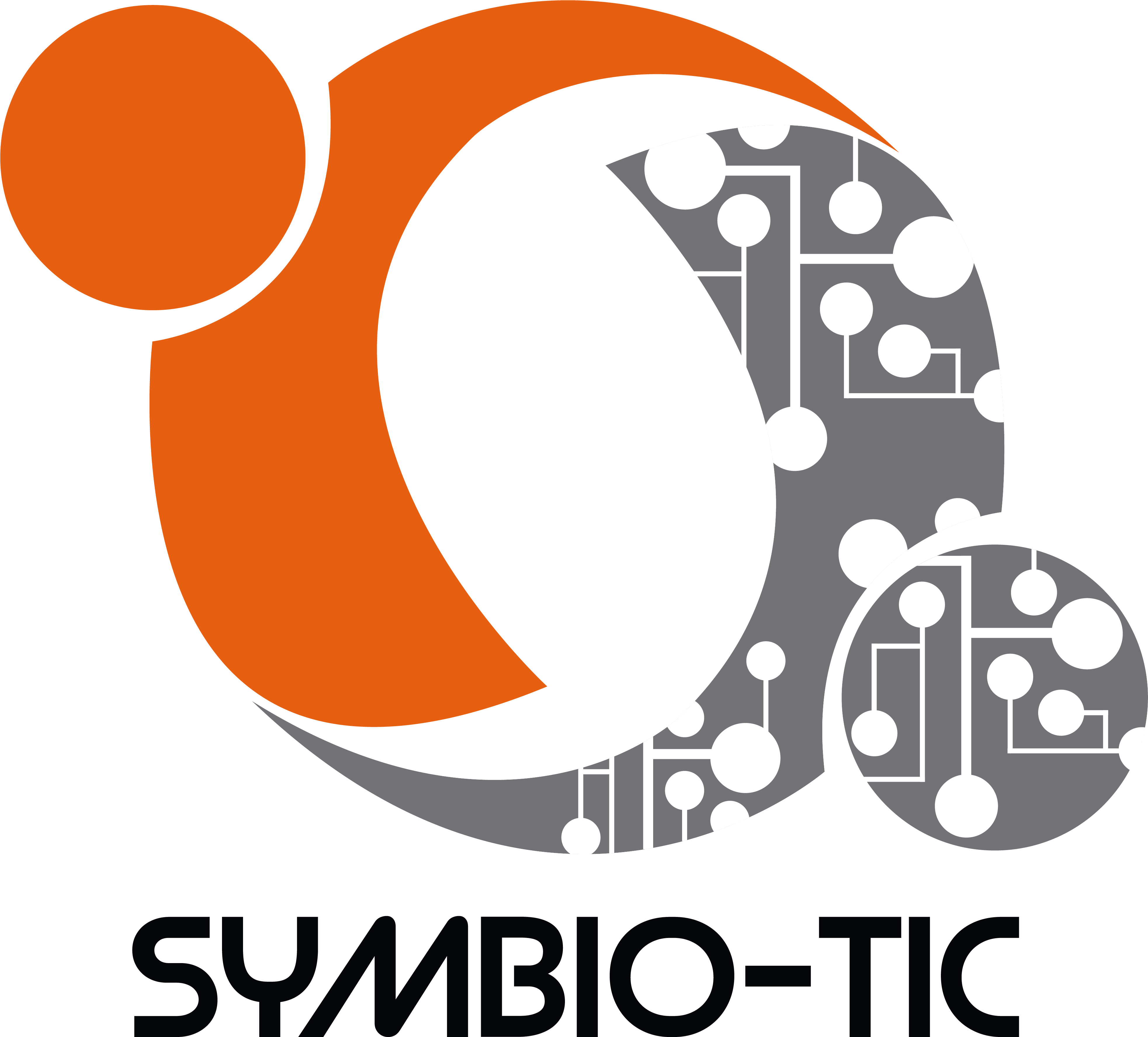 Picture Symbio-tic - Picture Symbio-tic (3994x3676)