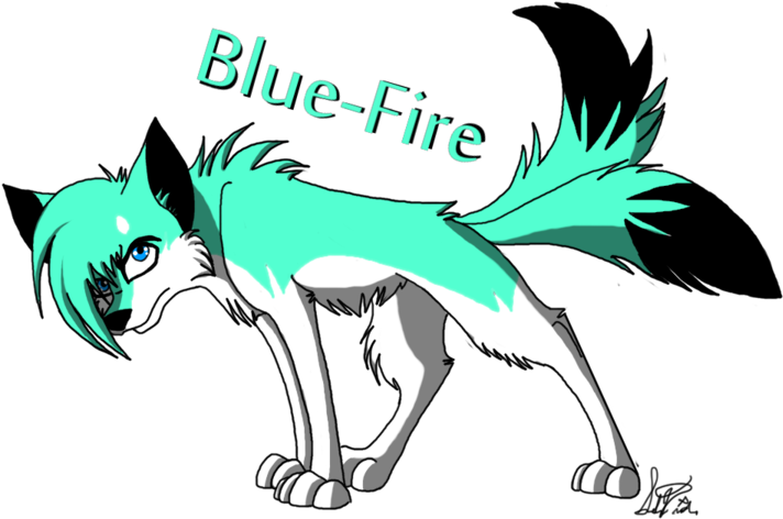 Kiba Wolfs Rain Wiki Fandom Powered By Wikia - Blue Fire Wolf (900x614)