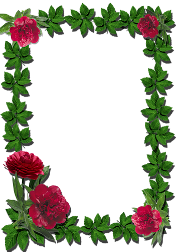 Written By Dreamland In Frames Rectangular-flowers - Flower Photo Frames (353x500)