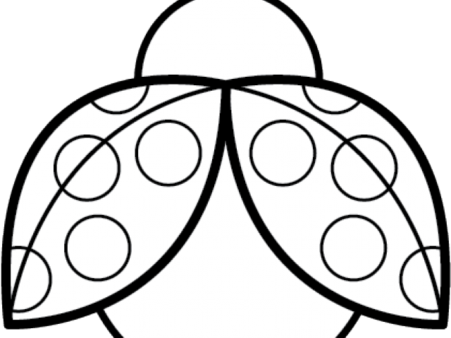 Symmetry Clipart Ladybug - Ladybug Black And White (640x480)
